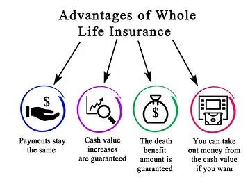 Whole Life Insurance