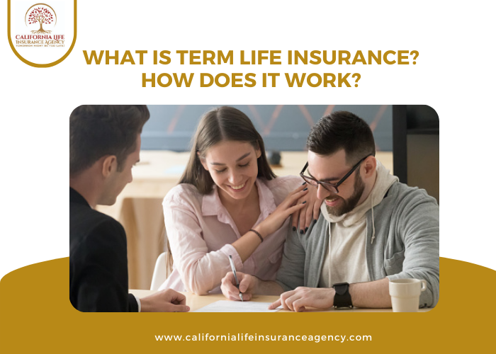 A Comprehensive Guide to Term Life Insurance and How it Works