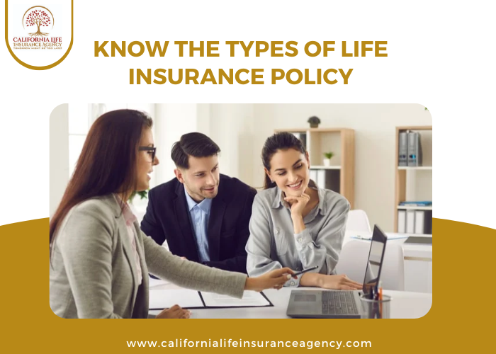 What Are The Types of Life Insurance Policy?