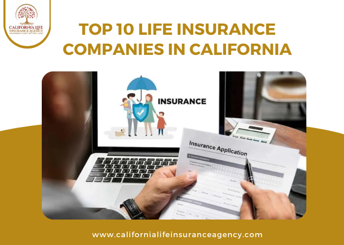 <strong>10 Life Insurance Companies in California</strong>