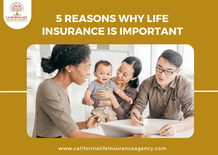 <strong>5 Reasons Why Life Insurance Is Important</strong>